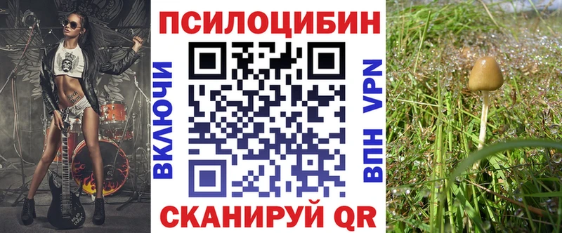 Псилоцибиновые грибы Magic Shrooms  как найти наркотики  Палласовка 